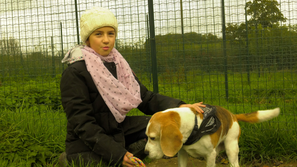Lilas est championne d'Europe de dressage de chien de troupeau à 11 ans.